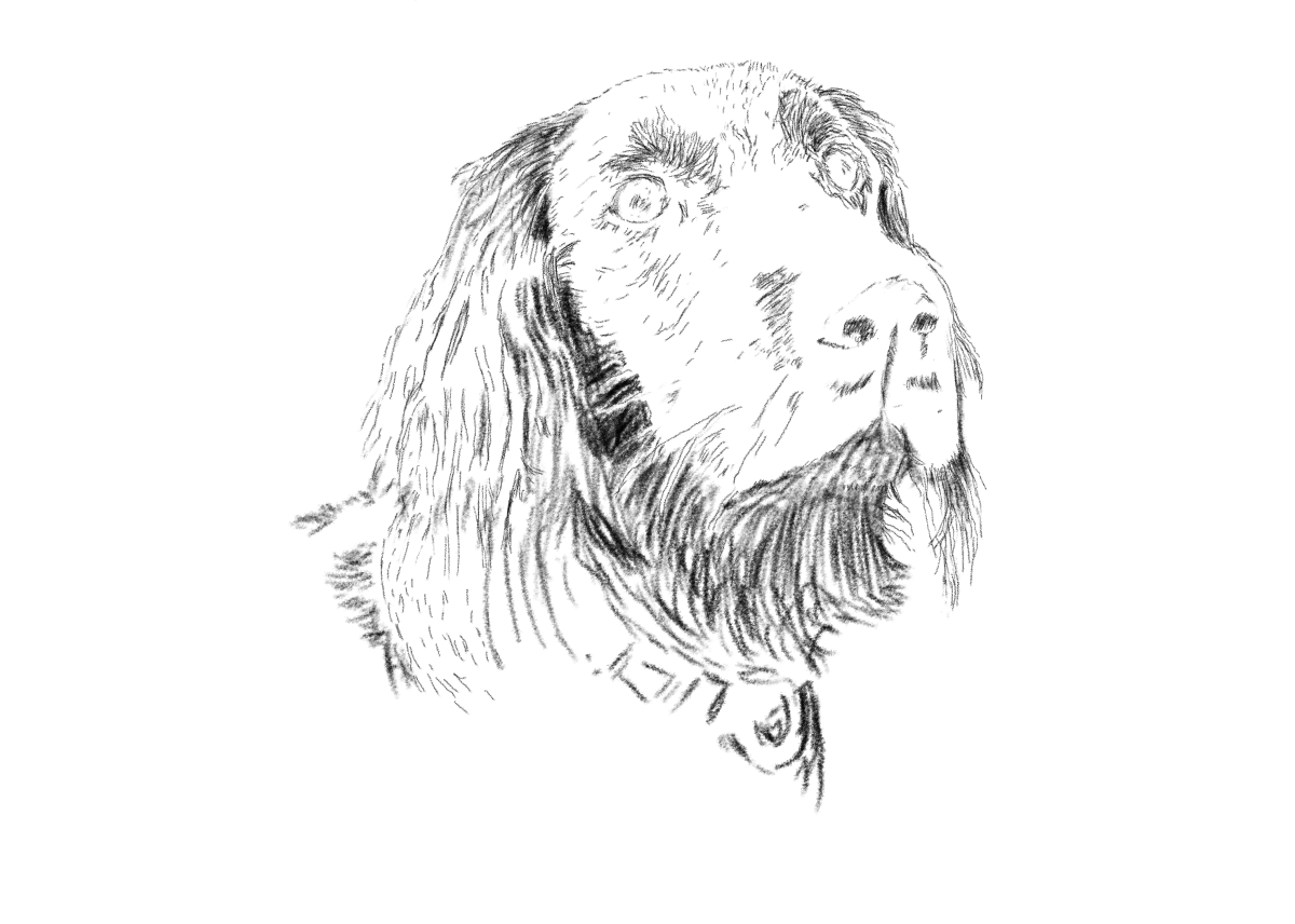 How to pretend you know how to&nbsp;draw.