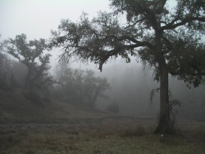 SANYO DIGITAL CAMERA