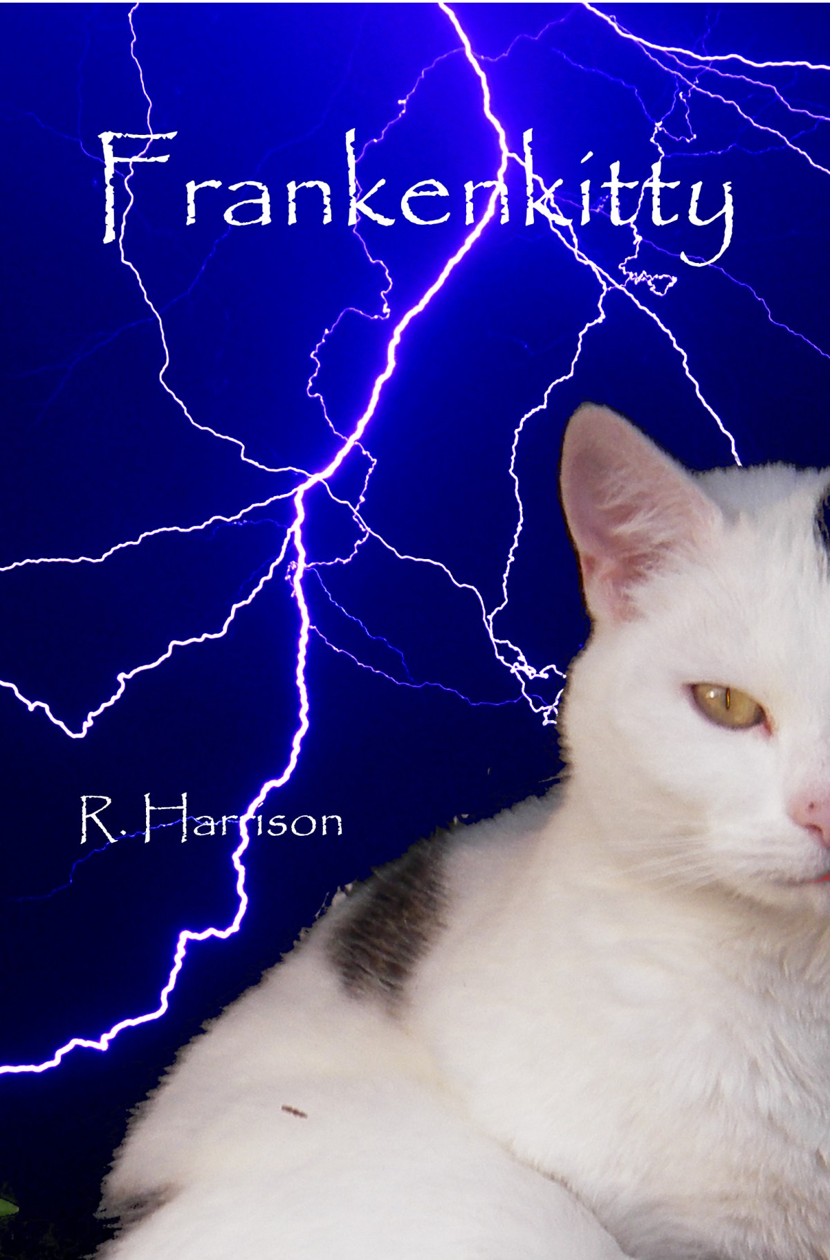 FrankenKitty 16 #wewriwar&nbsp;#amwriting