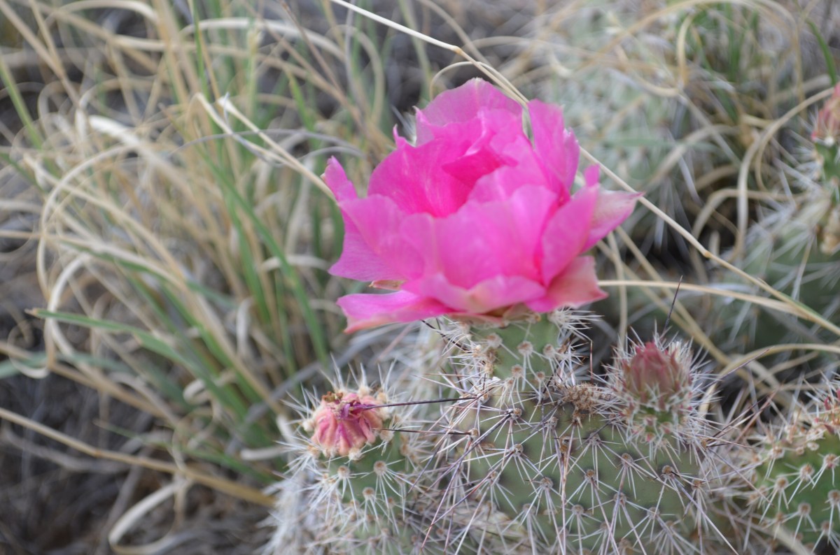 In This Age of Hard Trying, Nonchalance Is Good&nbsp;and