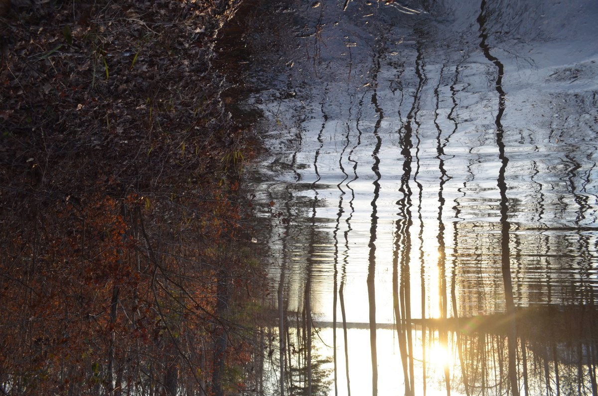 What the heck is going on with this&nbsp;blog?