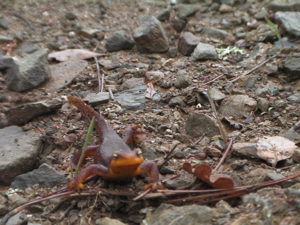 A Man Said to the&nbsp;Universe