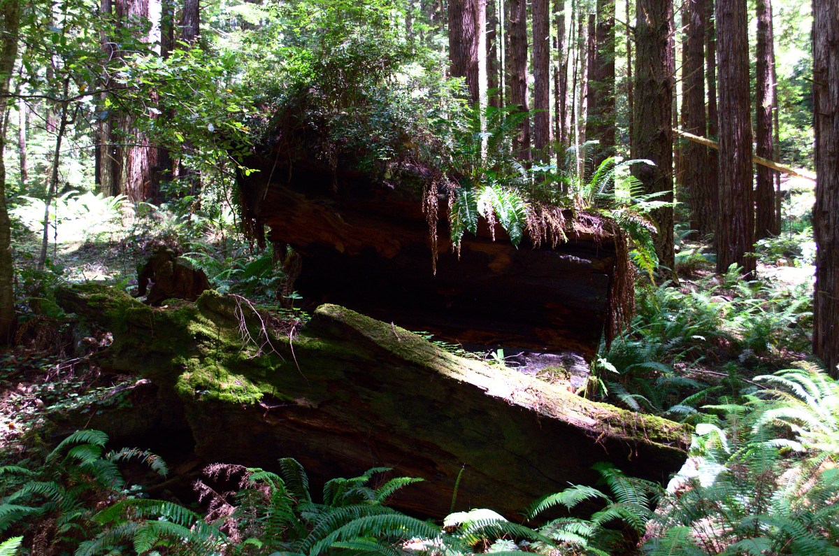 Most Excellent Adventure – Part&nbsp;Two.