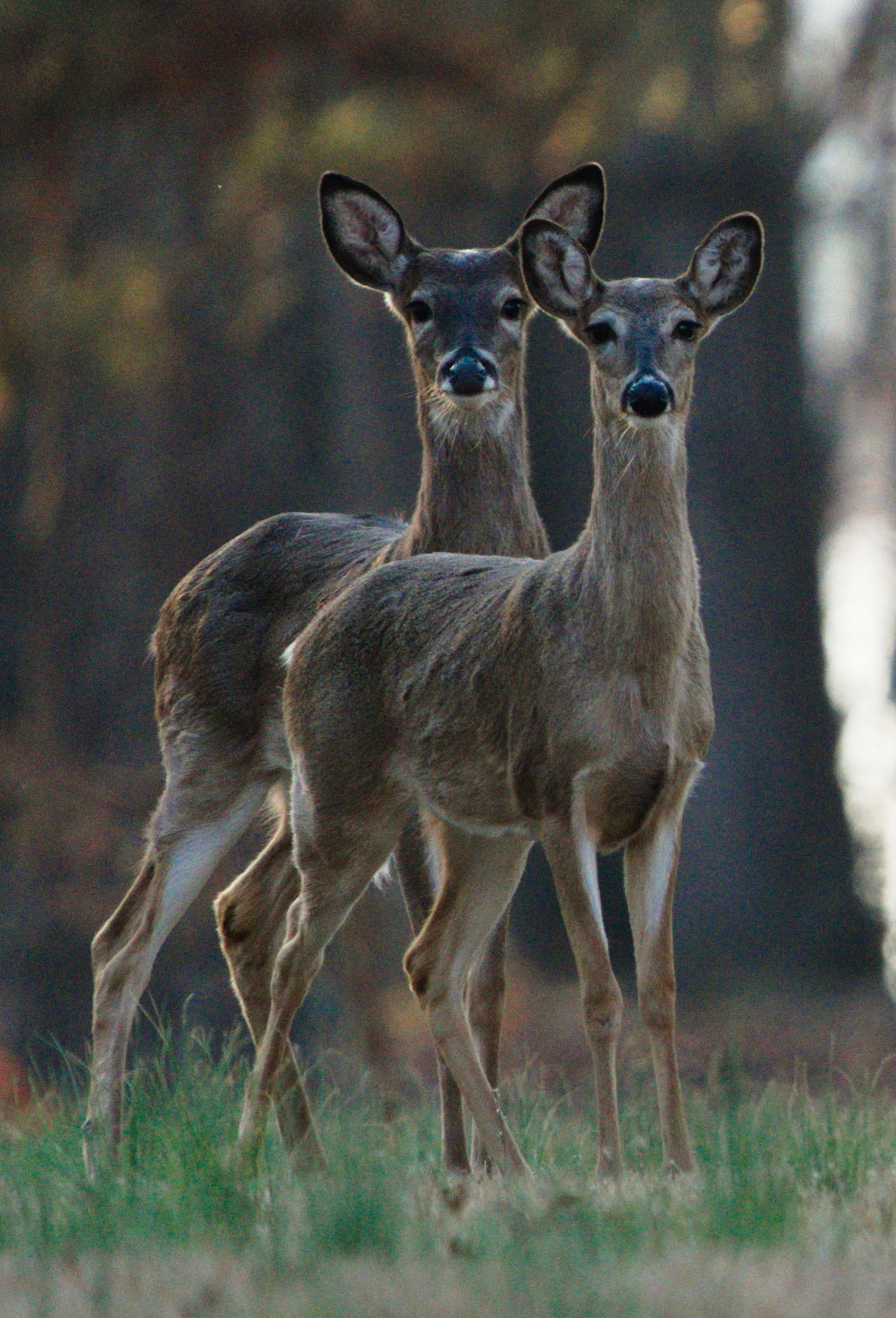 Looking forward to&nbsp;2022